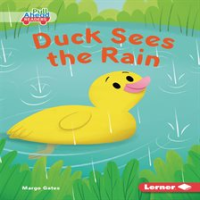 Duck_sees_the_rain